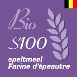S100