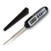 Kernthermometer
