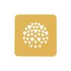 cuore