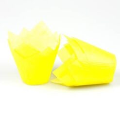 geel tulpmodel