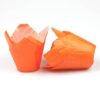 oranje tulpmodel