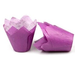 violet tulpmodel
