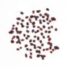 Krenten 500g