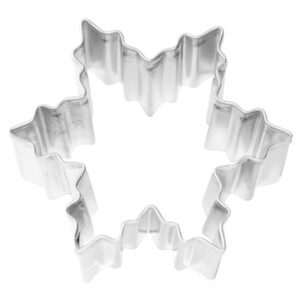 Uitsteker sneeuwster 6 cm