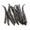 Vanillestok Bourbon Madagascar 15 tot 18 cm