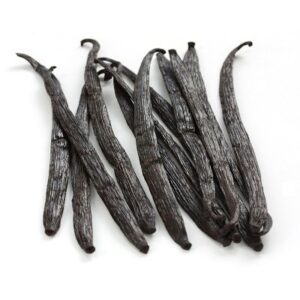 Vanillestok Bourbon Madagascar 15 tot 18 cm