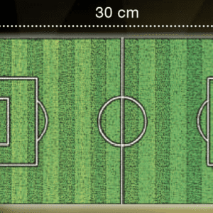 Hostievellen voetbalveld 30 x 20 cm